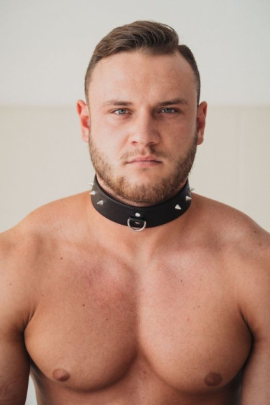 Коричневый кожаный ошейник увеличенного размера Коричневый кожаный ошейник увеличенного размера