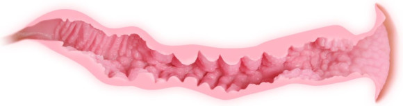 Телесный мастурбатор Veronia с двойным слоем материала Телесный мастурбатор Veronia с двойным слоем материала