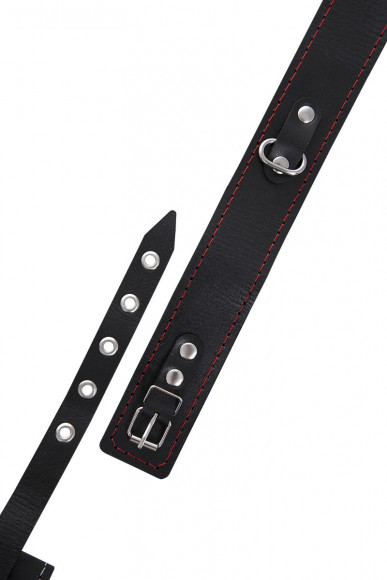 Черный двухслойный ошейник с красной строчкой и поводком Черный двухслойный ошейник с красной строчкой и поводком