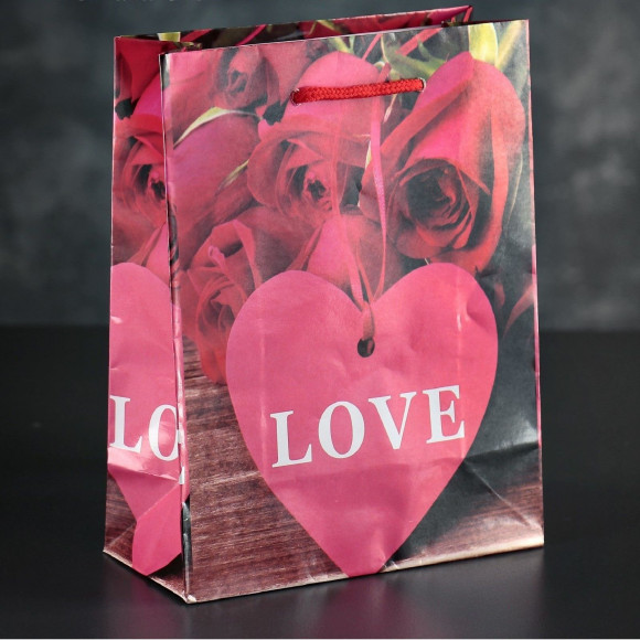 Подарочный пакет Love с розочками и сердечками - 23 х 18 см.